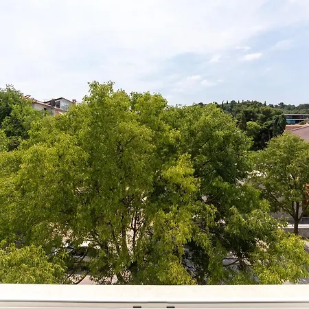 Ampelea Apartment